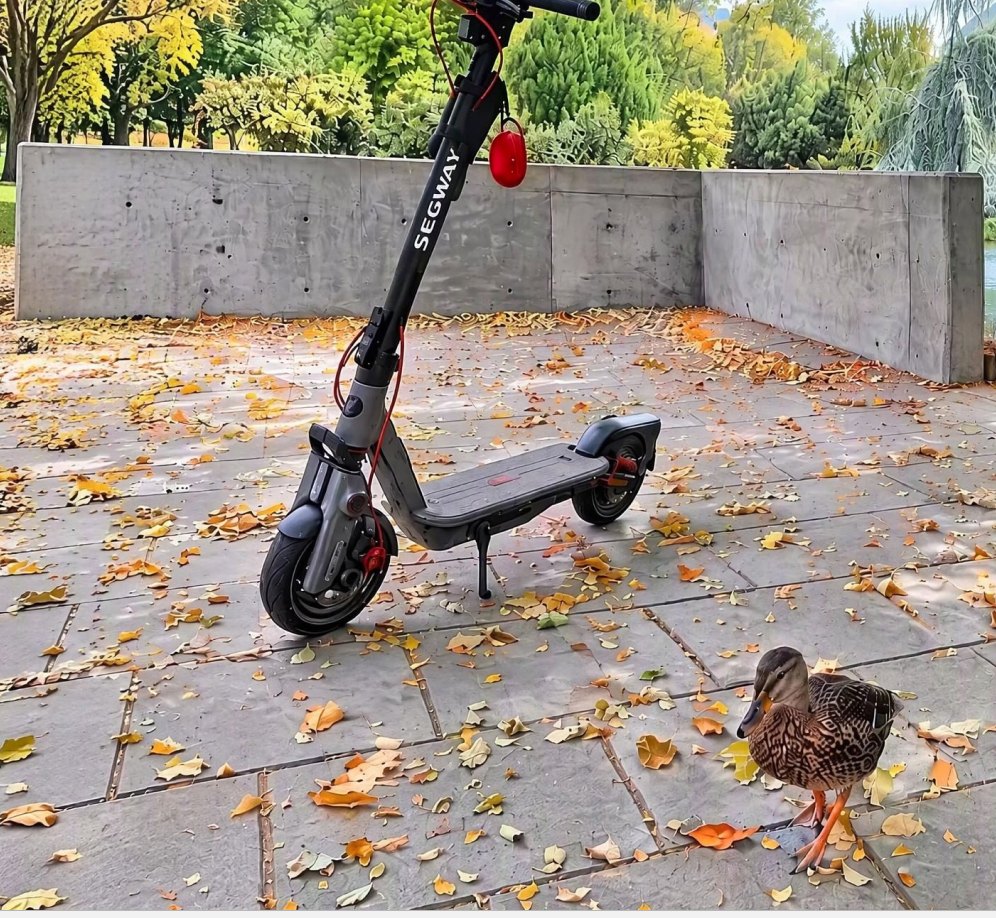 Segway F3 electric scooter parked on autumn leaves next to a duck in Okanagan, BC