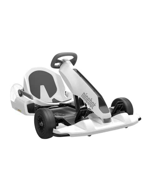 Electric Go Karts Shop Electric Gokart Segway Official Store 