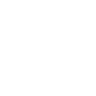 Fast charging icon